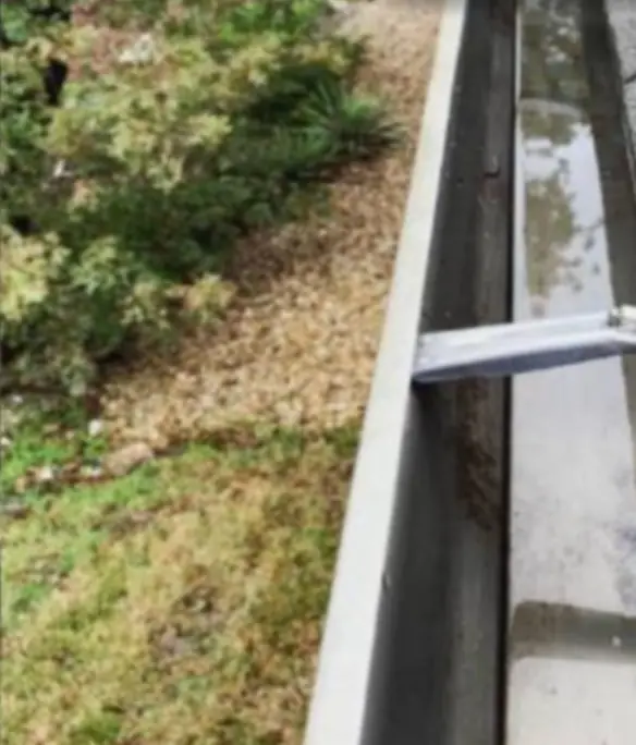 A run of aluminum gutter cleared of pine needles, clean water standing in the trough