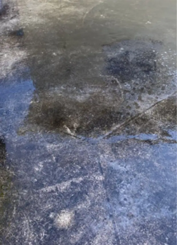 Flat concrete dark with mildew and old staining before the wash