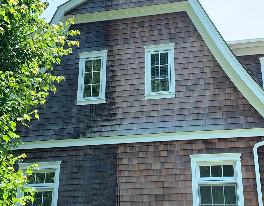 Dark cedar shingle siding streaked with algae under white-trimmed windows